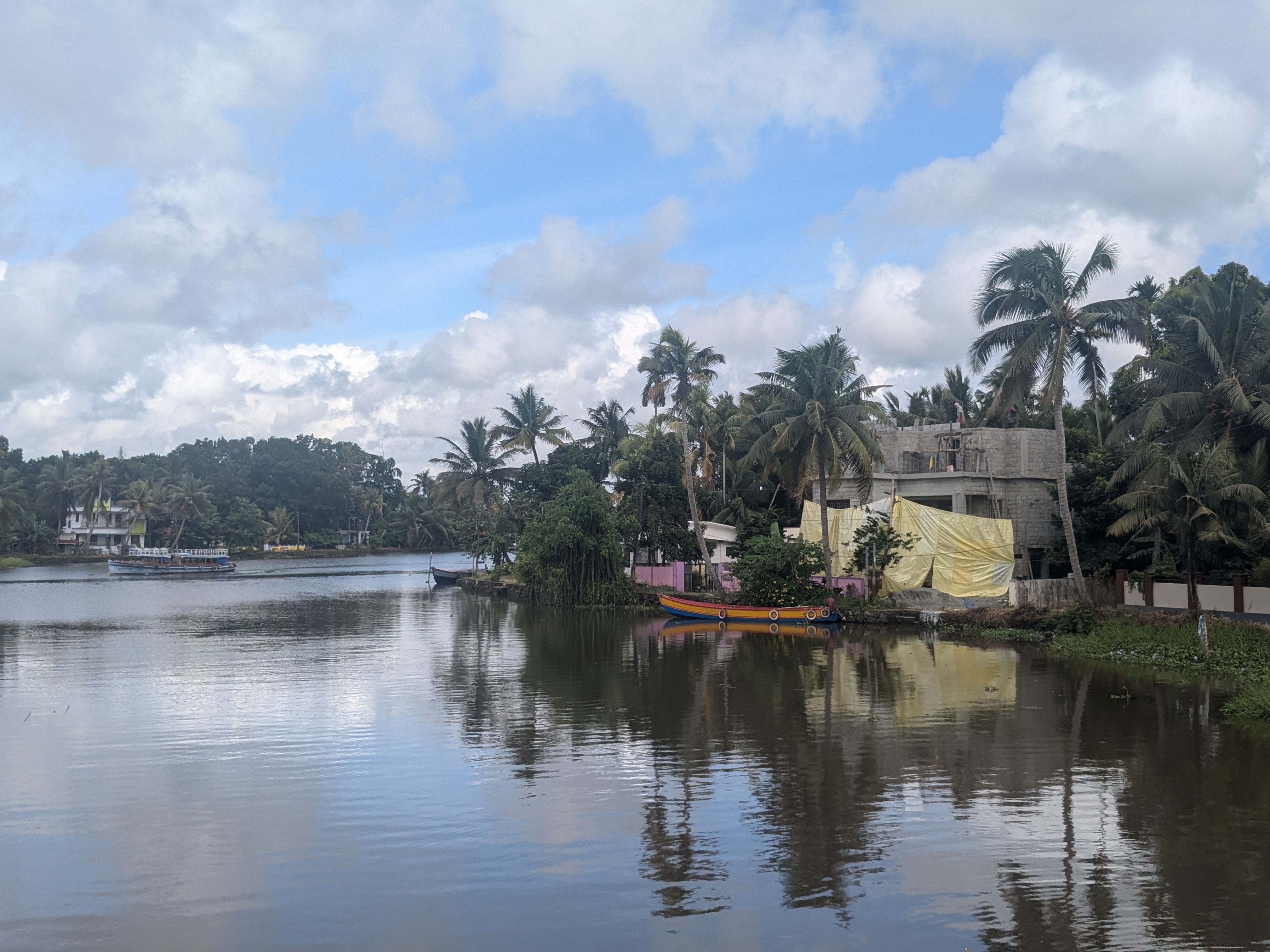Plage de Goa bordée de cocotiers
